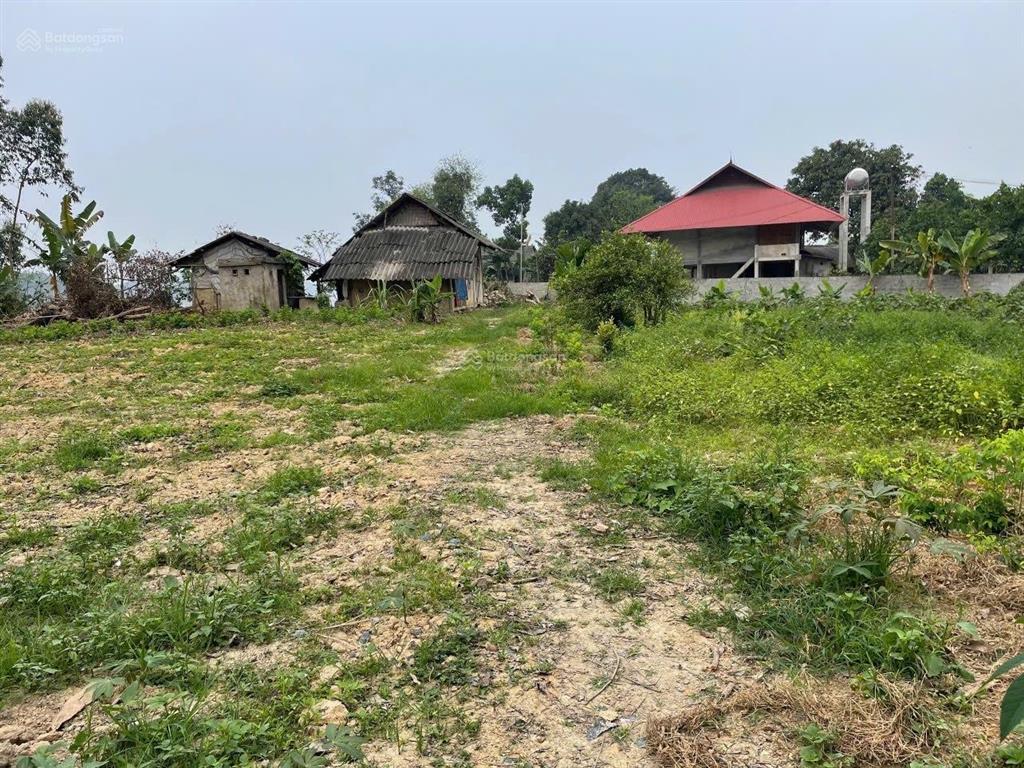 Cần bán gấp có 1.350m2 đất homestay hồ thác bà yên bái 1tỷ150