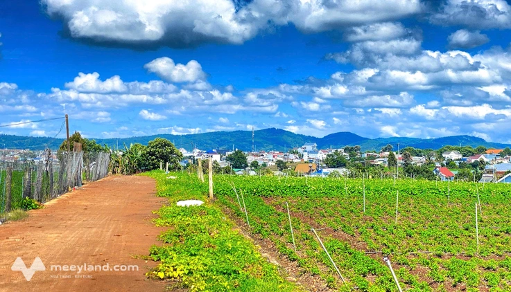 Đất hẻm bê tông 5m cốt pha, Liên Hiệp, Đức Trọng cũ, Lâm Đồng