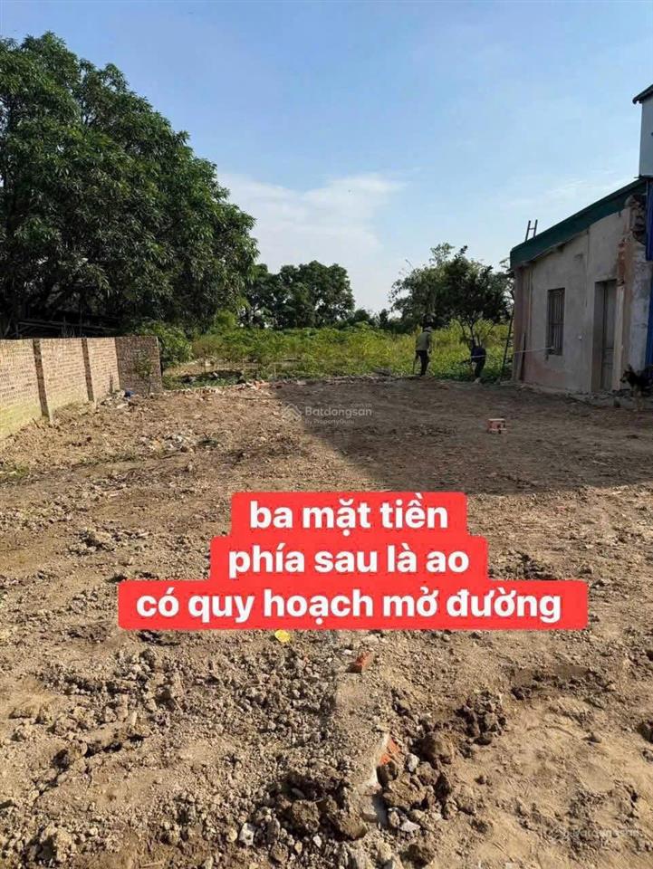 " cực hiếm" hàng f0 tại tdp cẩm quan phường mỹ hào tỉnh hưng yên ( xã cẩm xá thị xã mỹ hào cũ)