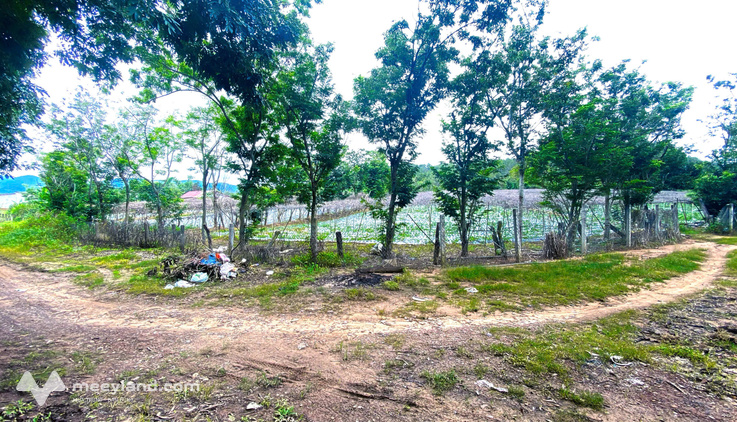 1,1 Ha đất hẻm bên sông Pré, Phú Hội cũ, Đức Trọng, Lâm Đồng