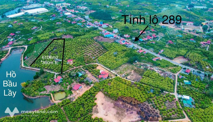 Bán gấp vườn vải thiều 7500m2, bám hồ 90m mặt tiền, phường Chũ, Bắc Giang