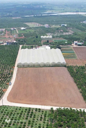 Đất F0 Lâm Hà, sổ hồng riêng, xây tự do, giá chỉ từ 395 triệu