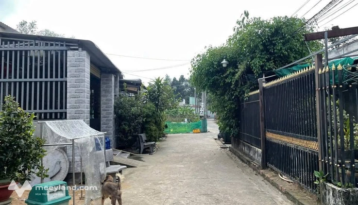 Cần ra nhanh lô đất diện tích 217m², ngay cổng chào An Phước, Long Thành, giá 3.5 tỷ