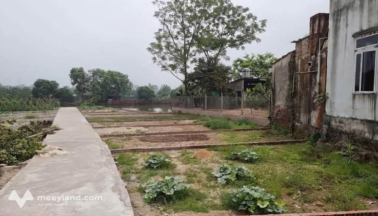 Mảnh đất 44m² tại Thọ Lộc pháp lý rõ ràng