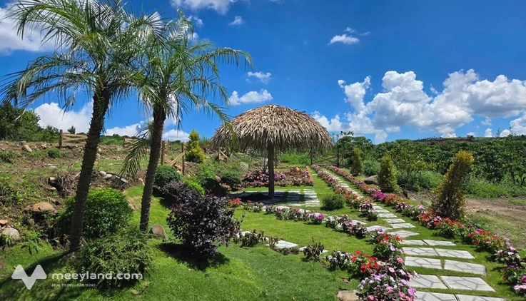 Đất Đinh Văn, Lâm Hà, Lâm Đồng đang gọi tên bạn