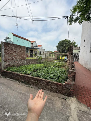 Bán đất Nam Phong - Phú Xuyên 83,3m2