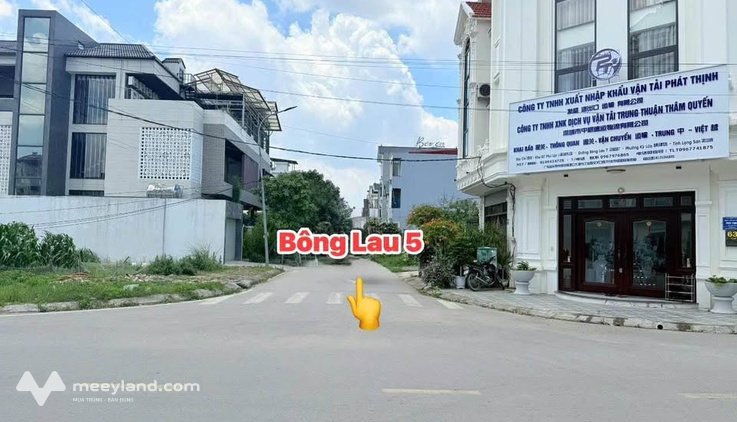 Bán nhanh lô đất phố Bông Lau 5, Lạng Sơn, giá 3.65 tỷ
