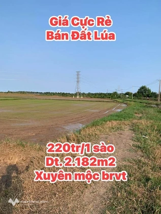Bán đất huyện Xuyên Mộc, tỉnh Bà Rịa, Vũng Tàu