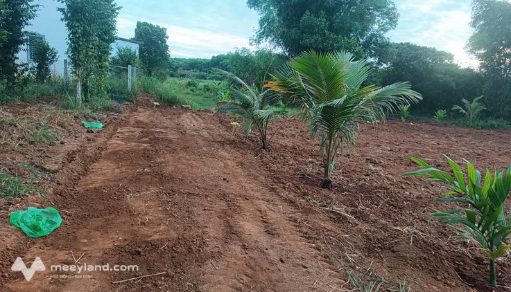 Đất biển Cửa Tùng 690m2, có 300m2 thổ cư, giá chỉ 1 triệu/m2
