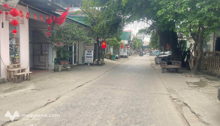 Bán đất 67m2 tại thôn Ngọc, Lạc Đạo, vị trí đắc địa, dân cư giàu có đông đúc ‍