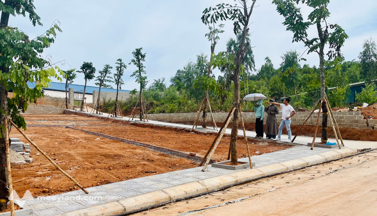 Sở hữu ngay đất nền sát vin hạ long xanh, đón đầu Ga Tod Hà Nội - Quảng Ninh