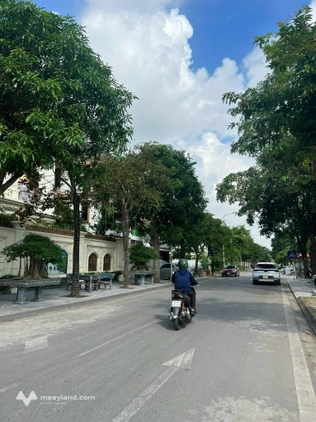 Bán đất biệt thự khu Trường An, mặt đường Trần Nguyên Đán, 250m2, ngang 12.5m