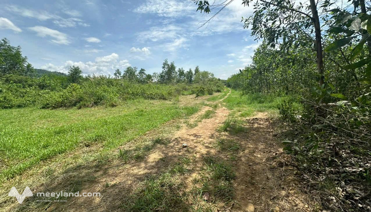 Đất đẹp Diên Lâm 620m² nở hậu đẹp