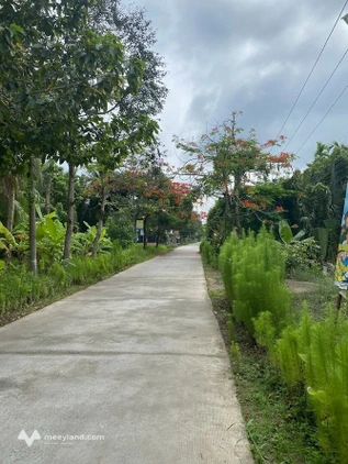 Đất xịn sò 1300m2 mặt tiền lộ 4m, giá hời 1,7 triệu/m2 tại Mỹ Thạnh, Bến Tre