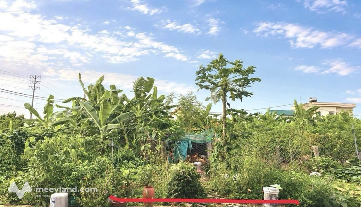 Bán lô đất đẹp tại khu tập thể trại Vịt Tràng Kỹ, Tân Trường, Cẩm Giàng, Hải Dương cũ