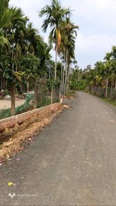 Đất vàng Ea Ktur, 10x500m, thổ cư 350m2, giá chỉ 1.3 tỷ