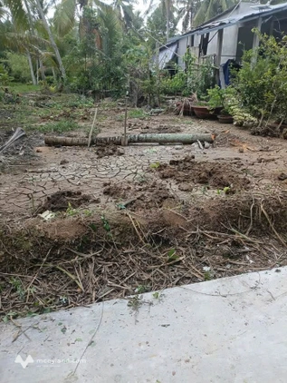 Cơ hội sở hữu ngay nền đất thổ cư 100m2 tại Bình Khánh Cũ, Mỏ Cày Nam
