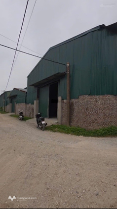 Cần cho thuê 1.500m2 xưởng Phụng Châu, Chương Mỹ