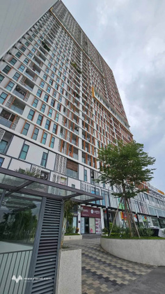 Bán căn hộ chung cư Anland Lake View, view hồ Thiên Văn Học, full nội thất cao cấp, 74m2, 2 phòng ngủ, giá 6.35 tỷ
