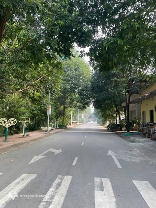 Bán đất tại Bãi Nếp Hòa Đình, 98.9m2, 4.5m mặt tiền, hướng Tây Bắc, sổ đỏ sẵn