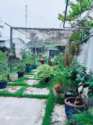 Cho thuê nhà riêng thành phố Thuận An, tỉnh Bình Dương, giá 8 triệu/tháng