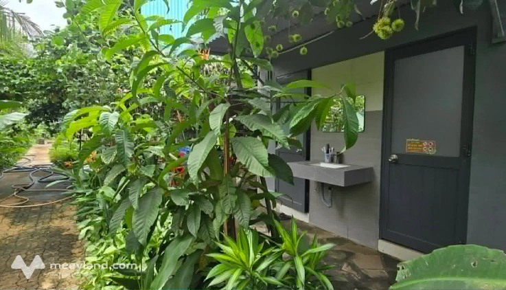 Bán nhà vườn phường Xuân Lập, thành phố Đồng Nai (Long Khánh cũ)
