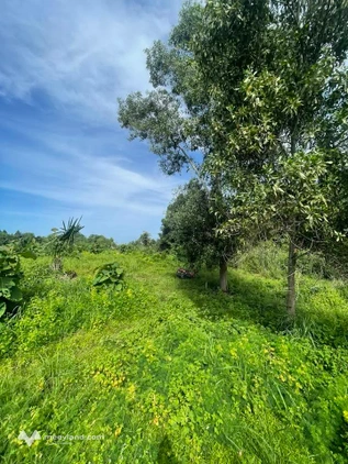 Cần bán 3,3 sào đất view sông ở xã Định Quán mới