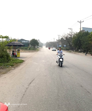 Bán lô đất siêu phẩm mặt đường lớn Lạc Long Quân, đối diện khu đô thị Bến Gót, Việt Trì, Phú Thọ