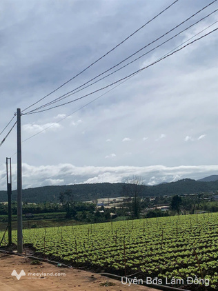 830 triệu sở hữu ngay lô đất view đẹp - Sổ riêng - Xã Đơn Dương