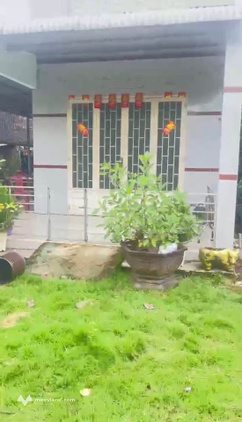 Bán 8.300m² nhà vườn chuồng trại nhiều loại cây ăn trái, có sẵn 2 căn nhà cấp 4, 3 phòng ngủ, giá 3.1 tỷ