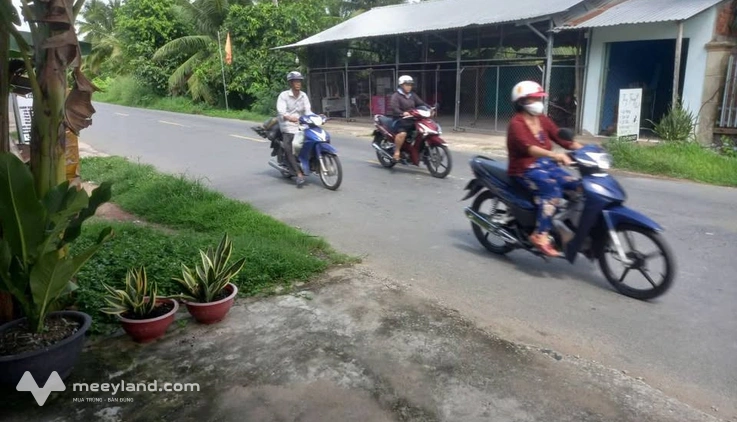 Bán nhà riêng huyện Giồng Trôm, tỉnh Bến Tre, giá 2,3 tỷ
