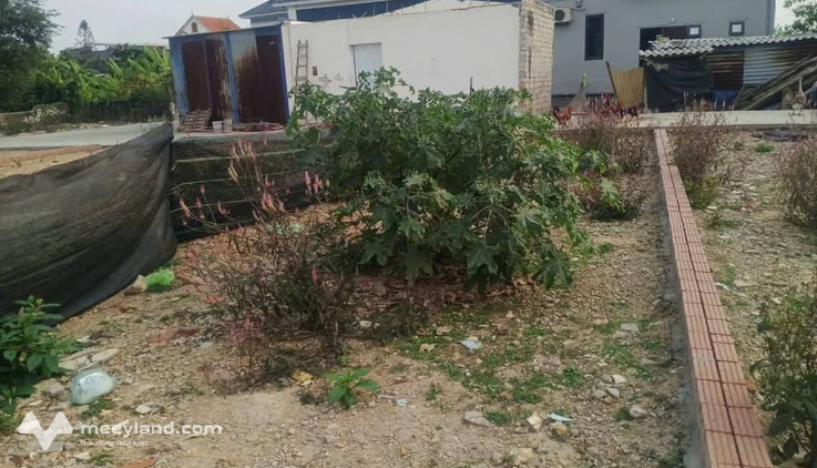 Bán gấp 3 lô liền kề tại Quảng Thanh cũ (Nay thuộc phường Lê Ích Mộc)