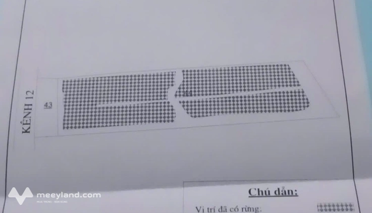 Bán 47 công đất vuông mặt tiền lộ nhựa Tam Giang, Cà Mau