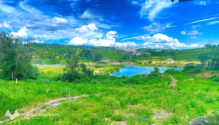 Đất 1,3 ha ( 13000m2 ) mà giá chỉ 3,5 tỷ, Phú Hội cũ, Đức Trọng, Lâm Đồng