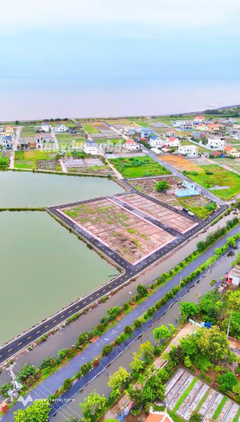 Bán lô đất mặt biển Quất Lâm, còn 1 lô duy nhất trục chính kinh doanh, 80m2 1.5 tỷ