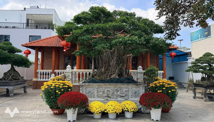 Cho thuê nhà riêng thành phố Quảng Ngãi, tỉnh Quảng Ngãi, giá 20 triệu/tháng