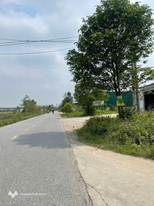 Bán đất mặt đường Trần Đình San (8B), vị trí kinh doanh đẹp