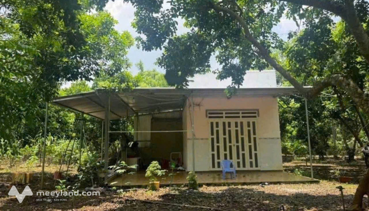 Vườn nhà 2540m2 sẵn thổ cư giá 680 triệu, sổ riêng