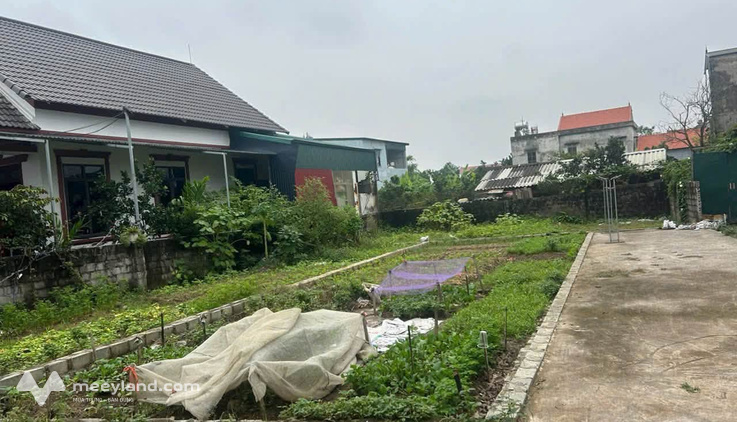 Bán đất tại Vân Từ, Phú Xuyên, ngõ xe tải đỗ tận đất
