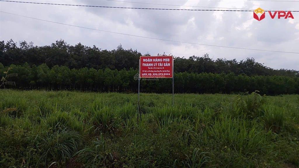 Tài sản bà lê thị trang (đồng nai) xã tân hưng, huyện đồng phú, tỉnh bình phước