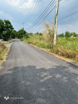 Đất thổ cư, mặt tiền đường nhựa 397 xã Tân Thạnh Đông, Củ Chi