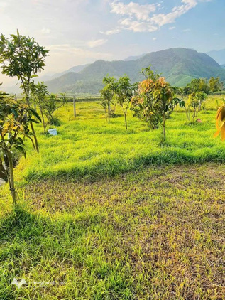 Bản tin đất giá tốt khu du lịch nghỉ dưỡng Hòa Bắc - Vị trí Nam Yên, Hòa Bắc, Đà Nẵng