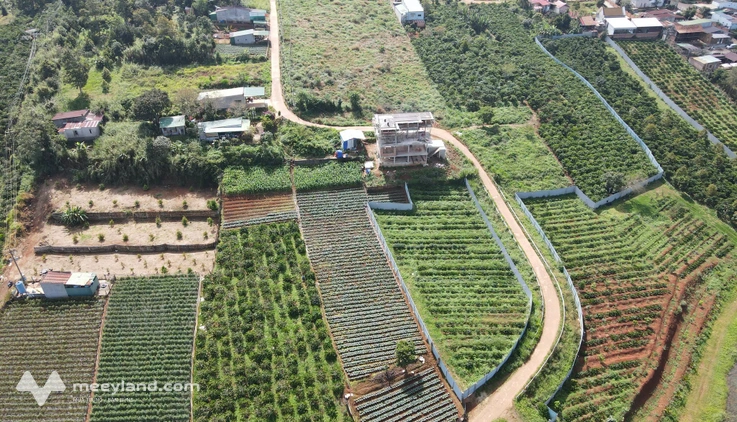 Bán đất view Hồ Đông, Di Linh, vị trí vàng hiếm có