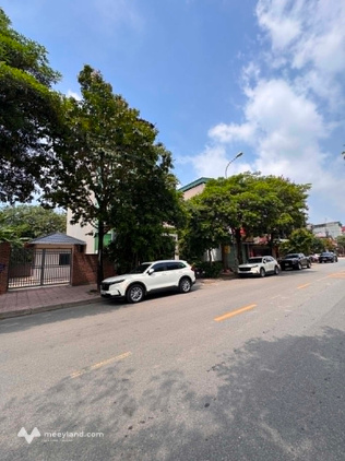 Cho thuê đất, mặt bằng kinh doanh khu đấu giá 31ha Trâu Quỳ, Gia Lâm 240m2 mặt n 12m đường 13m
