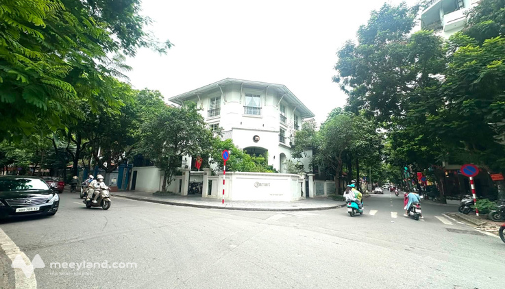 Bán biệt thự khu đô thị Trung Hòa, Nhân Chính, 310m2, 4 tầng, lô góc
