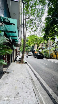 Mặt phố khu Cửa Bắc 105m2, 8 tầng, 83 tỷ nhà đẹp thang máy dòng tiền ổn định