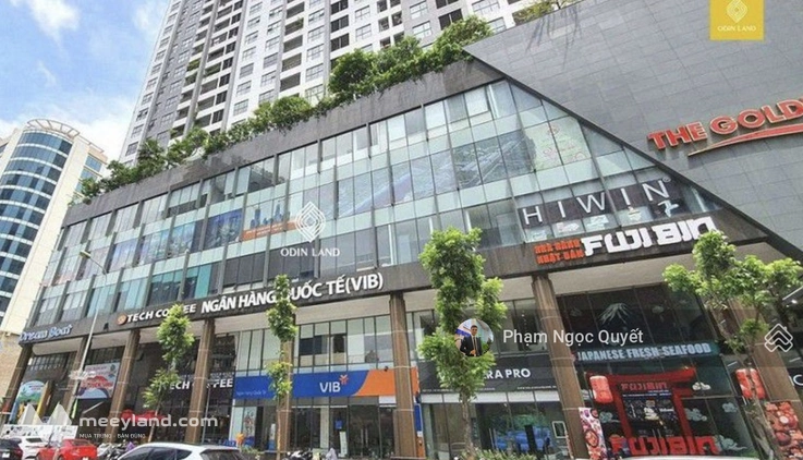 Chính chủ cho thuê sàn văn phòng 100m2 tại dự án chung cư cao cấp The Golden Palm - 21 Lê Văn Lương