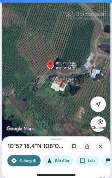 Cần bán 2064m2 đất cây lâu năm thuộc phường bình thuận, giá 400tr/1000m2, 0987 880 ***