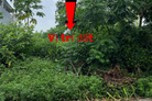 Chính chủ bán lô đất trục chính Ngoại Trạch 1 - Tam Hợp - Bình Xuyên – vị trí đẹp