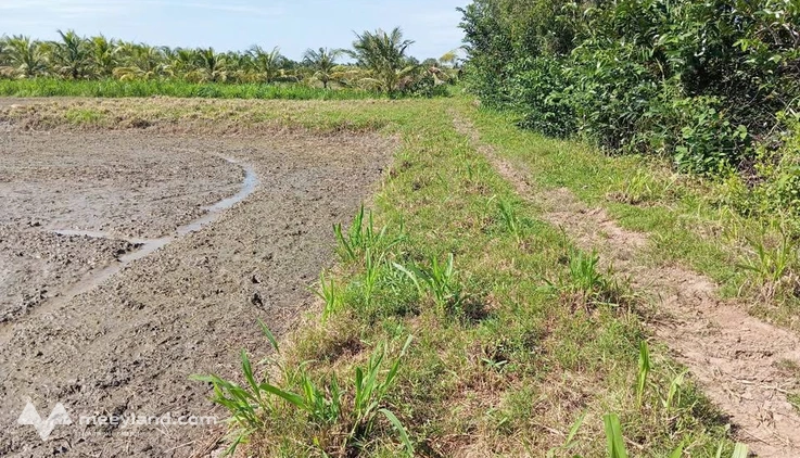 Bán đất huyện Châu Thành, tỉnh Trà Vinh